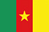 Marknadsundersökningspanel i Kamerun