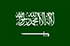 Onlineundersökningar i Saudiarabien (KSA)