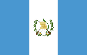 Forskningspanel online i Guatemala