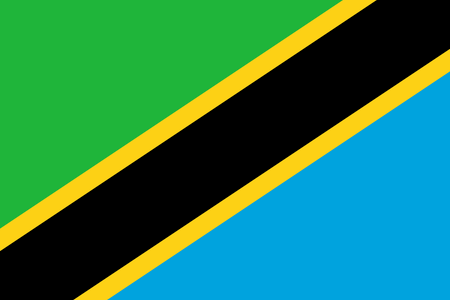 Onlineundersökningar i Tanzania